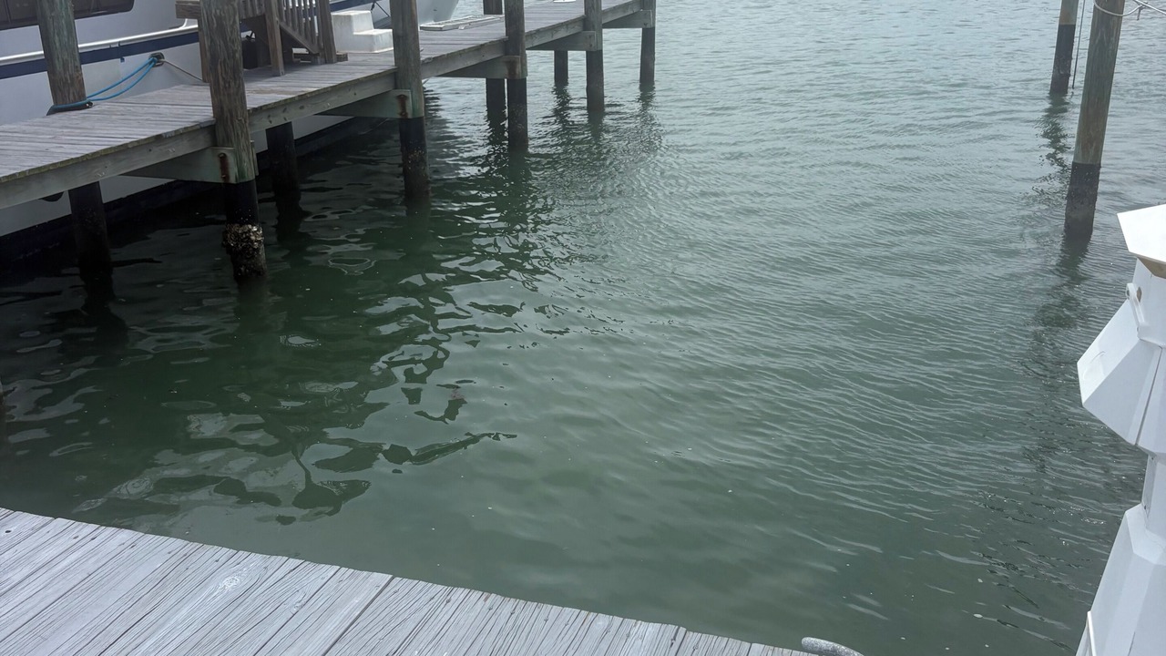 Photo of Others in Fort Pierce