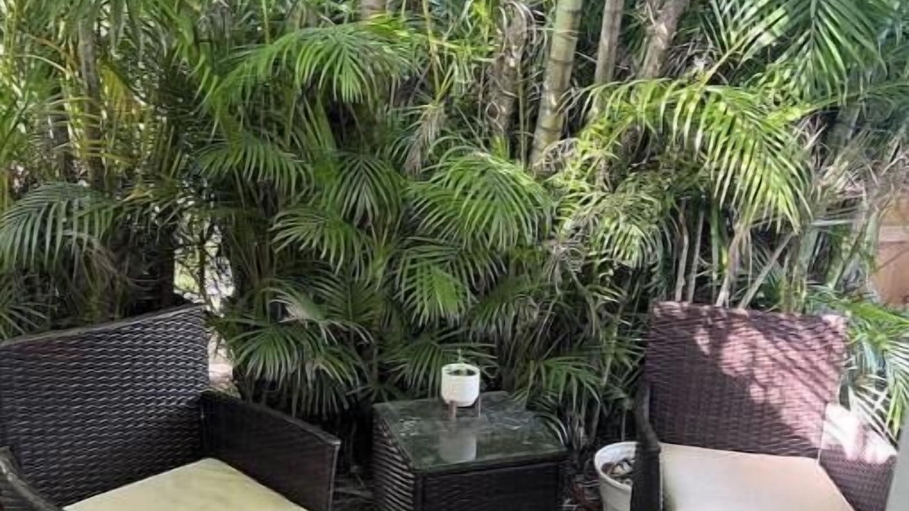 Photo of Patio Balcony in Fort Myers Shores