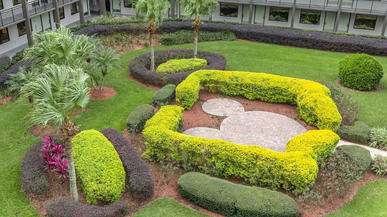 Photo of Outdoor in Lake Buena Vista