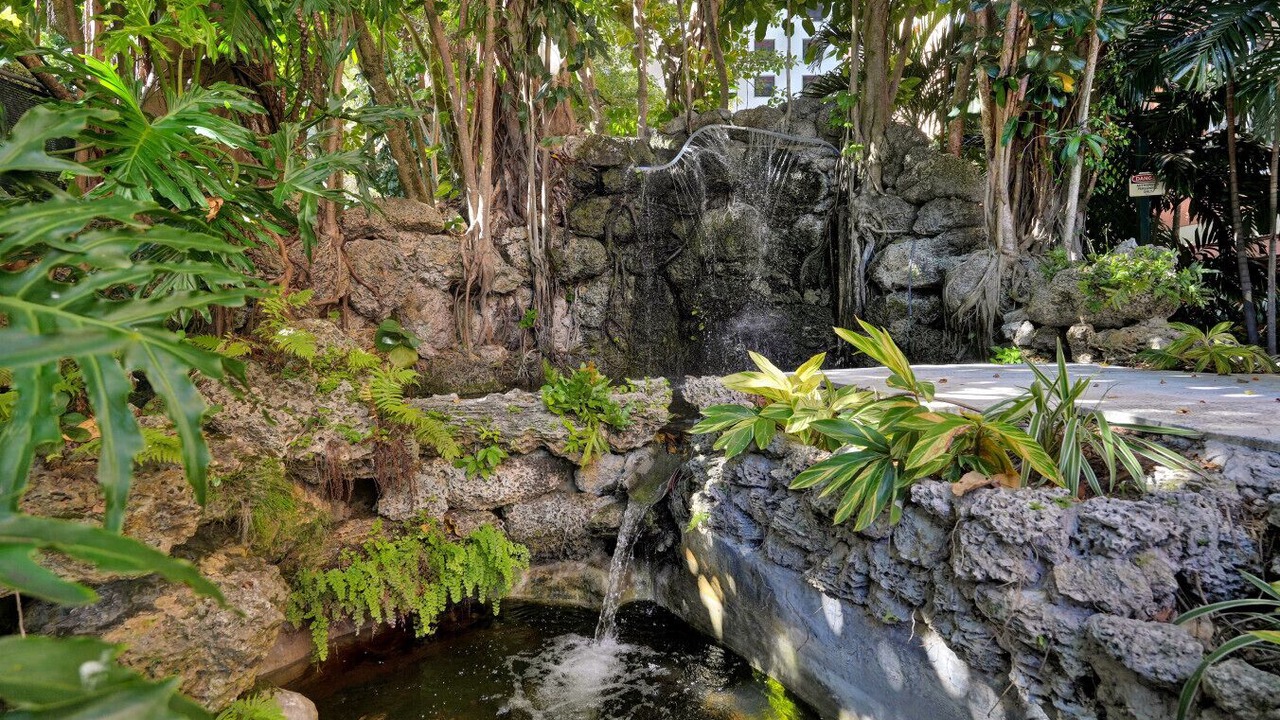 Photo of Outdoor in Coconut Grove