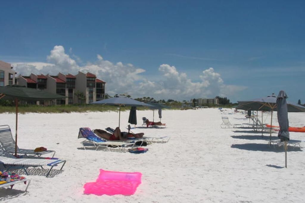 Photo of Others in Siesta Key