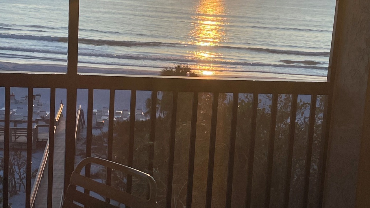 Photo of Outdoor in Siesta Key