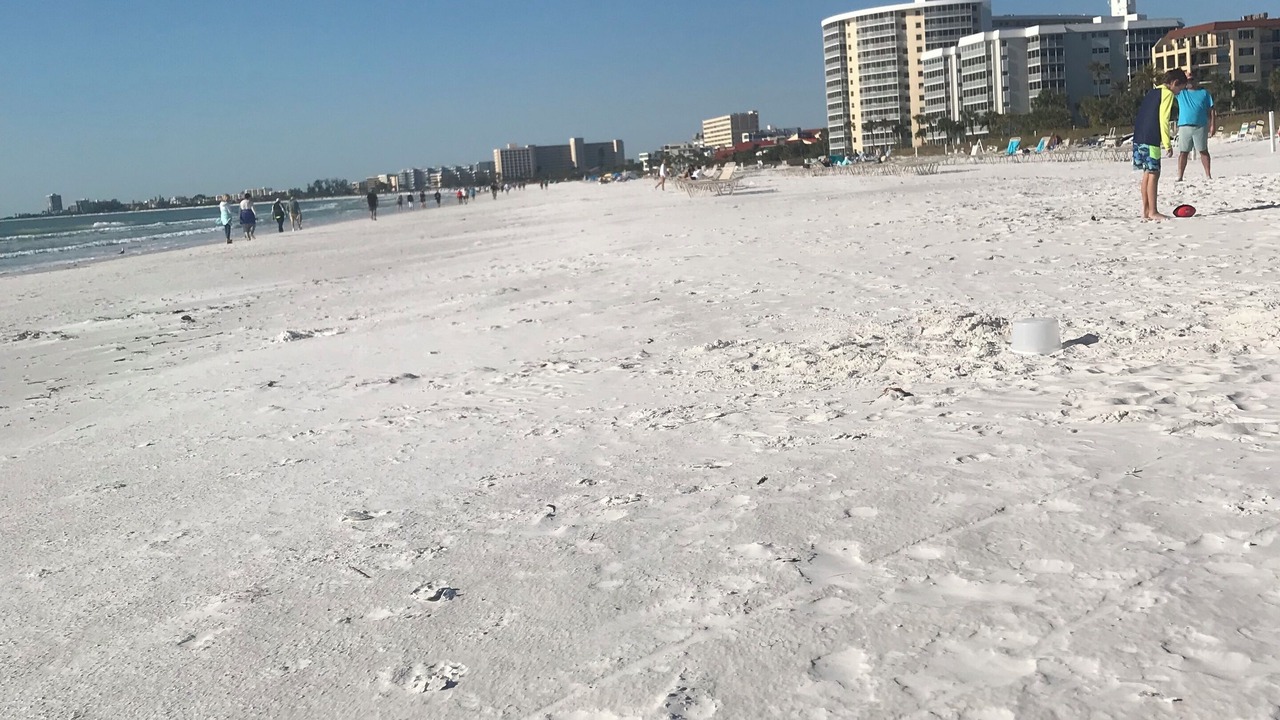 Photo of Others in Siesta Key