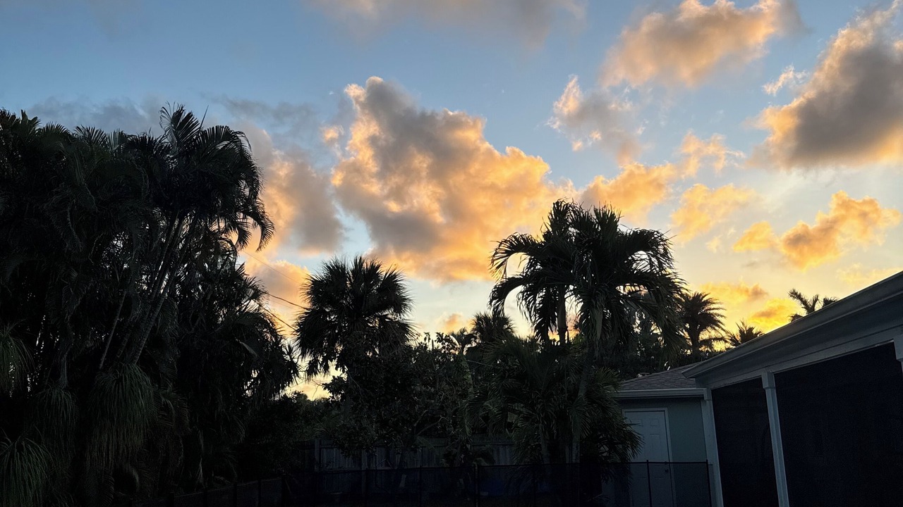 Photo of Outdoor in Melbourne Beach