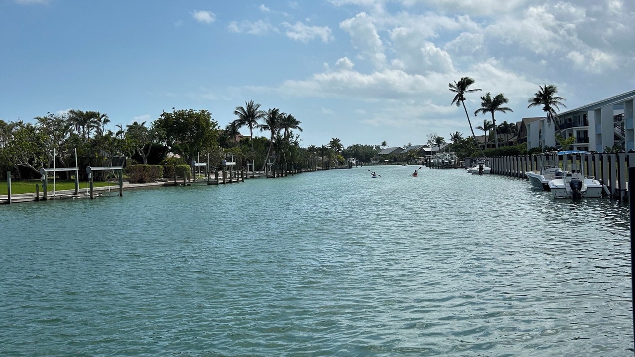 Photo of Others in Shell Harbor