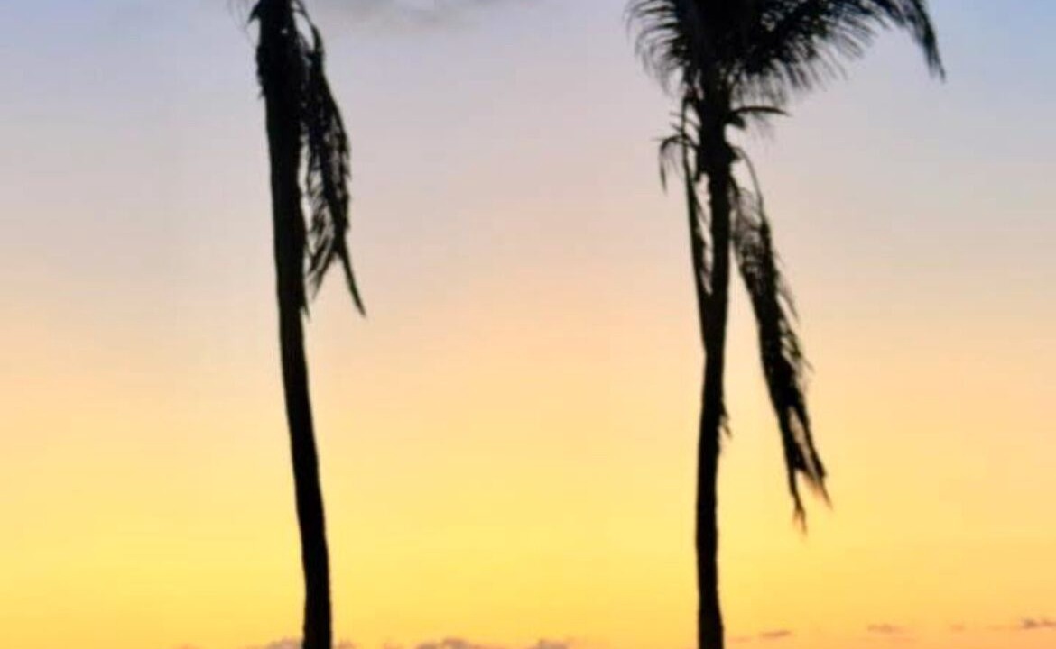 Photo of Others in Shell Harbor