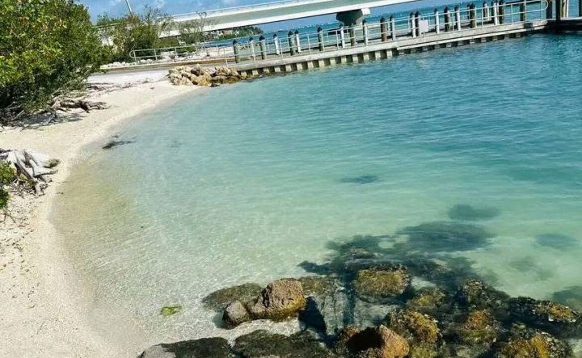 Photo of Others in Shell Harbor