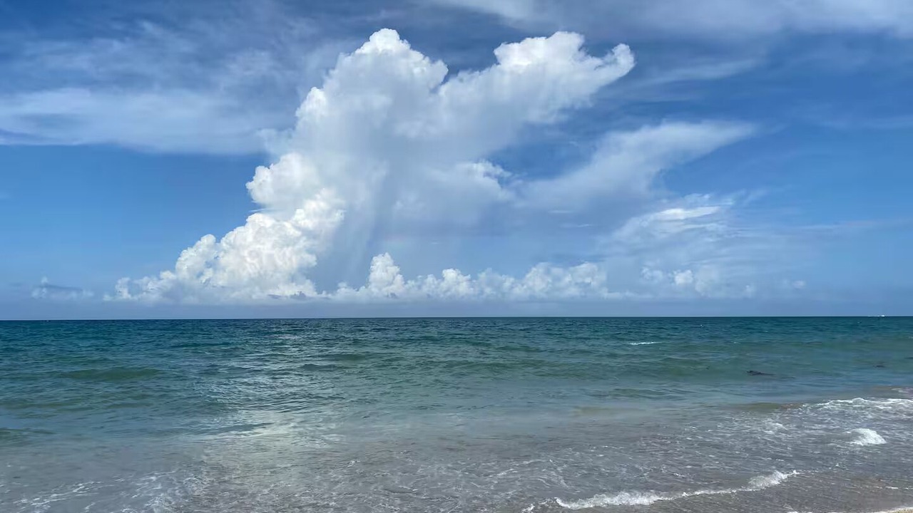 Photo of Others in Hutchinson Island South