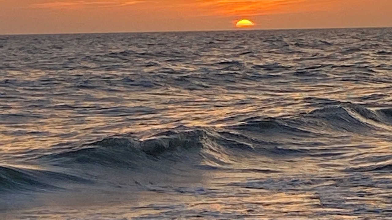 Photo of Others in Sanibel