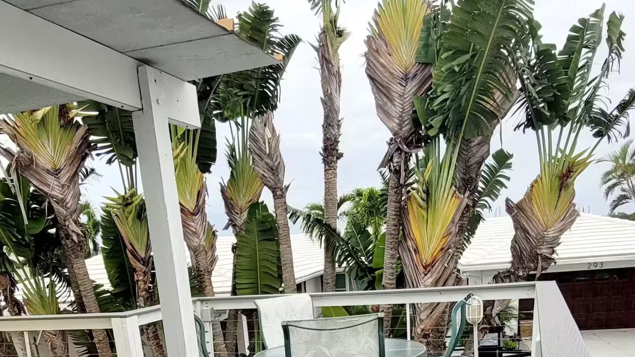 Photo of Outdoor in Fort Myers Beach
