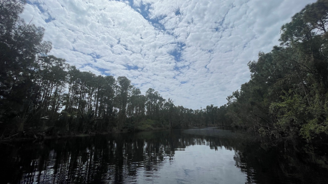 Photo of Outdoor in Port Saint Lucie