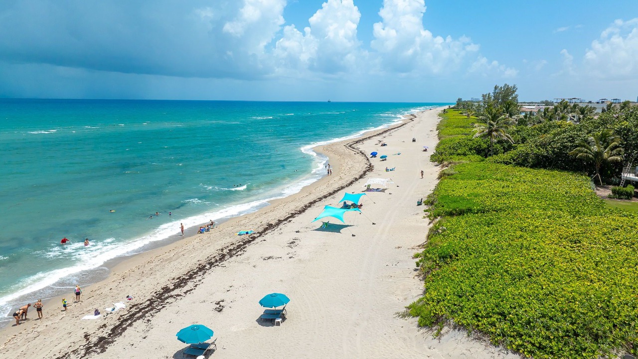 Photo of Others in Juno Beach