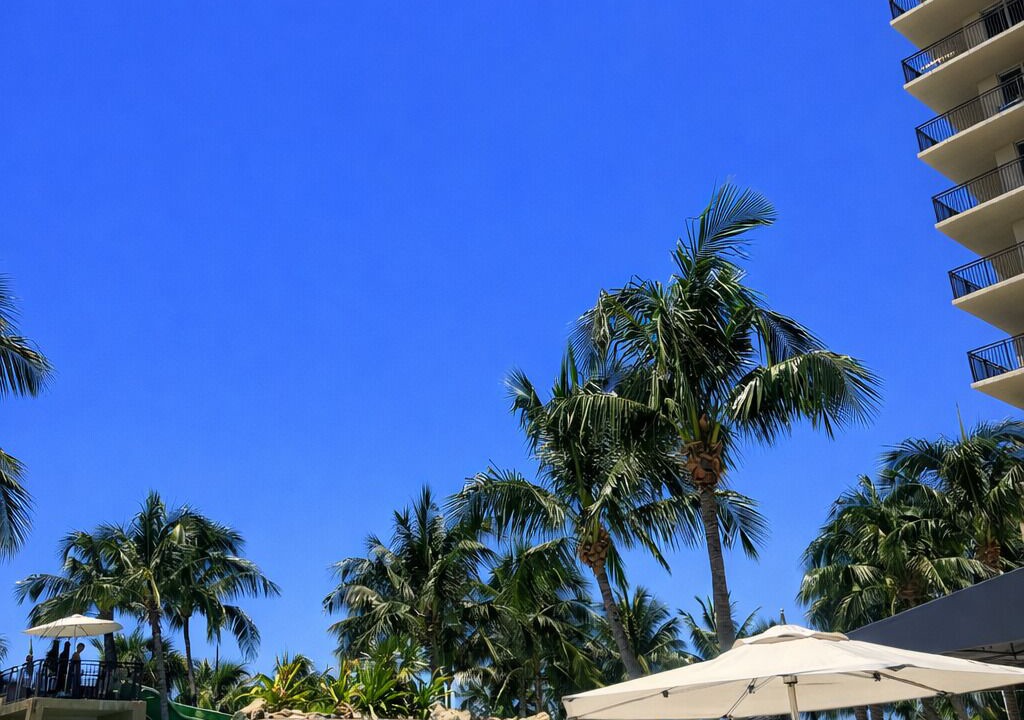 Photo of Outdoor in Singer Island
