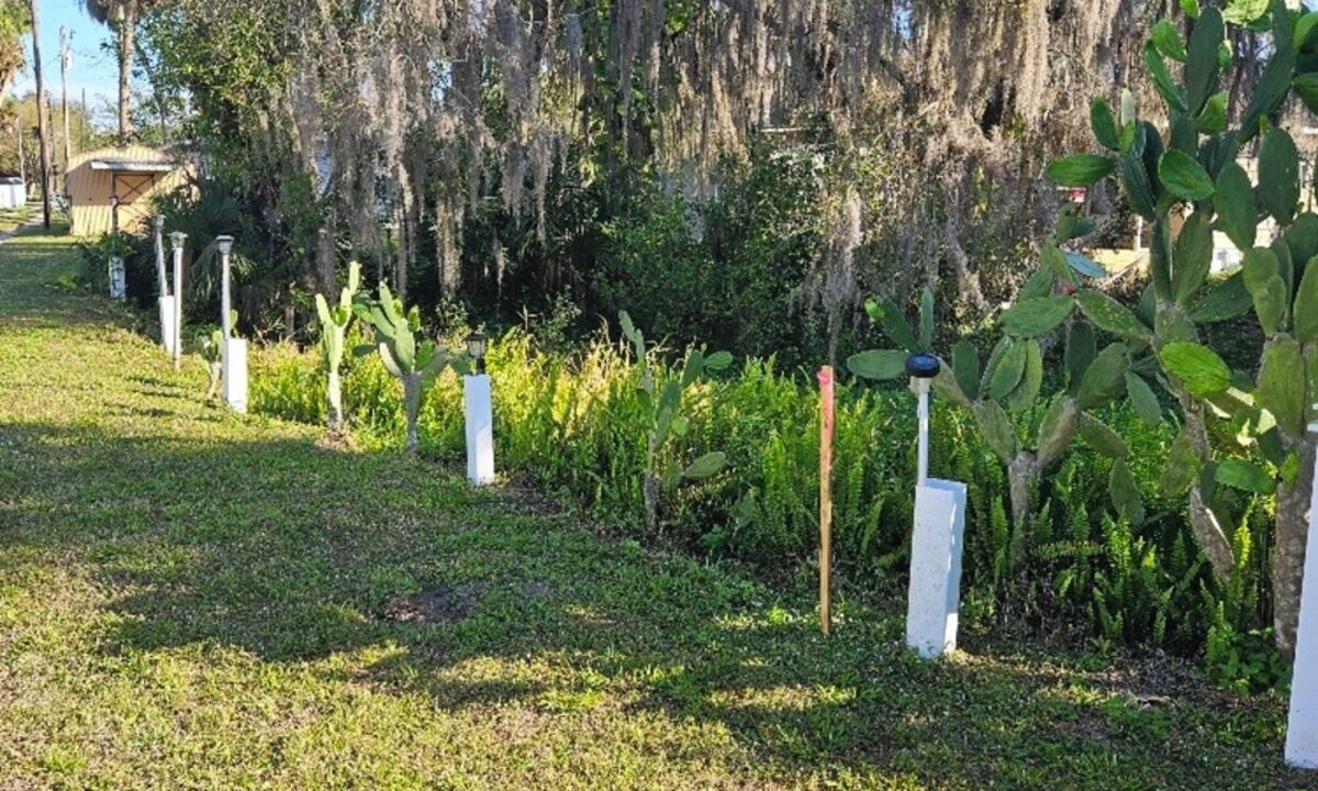 Photo of Outdoor in Moore Haven