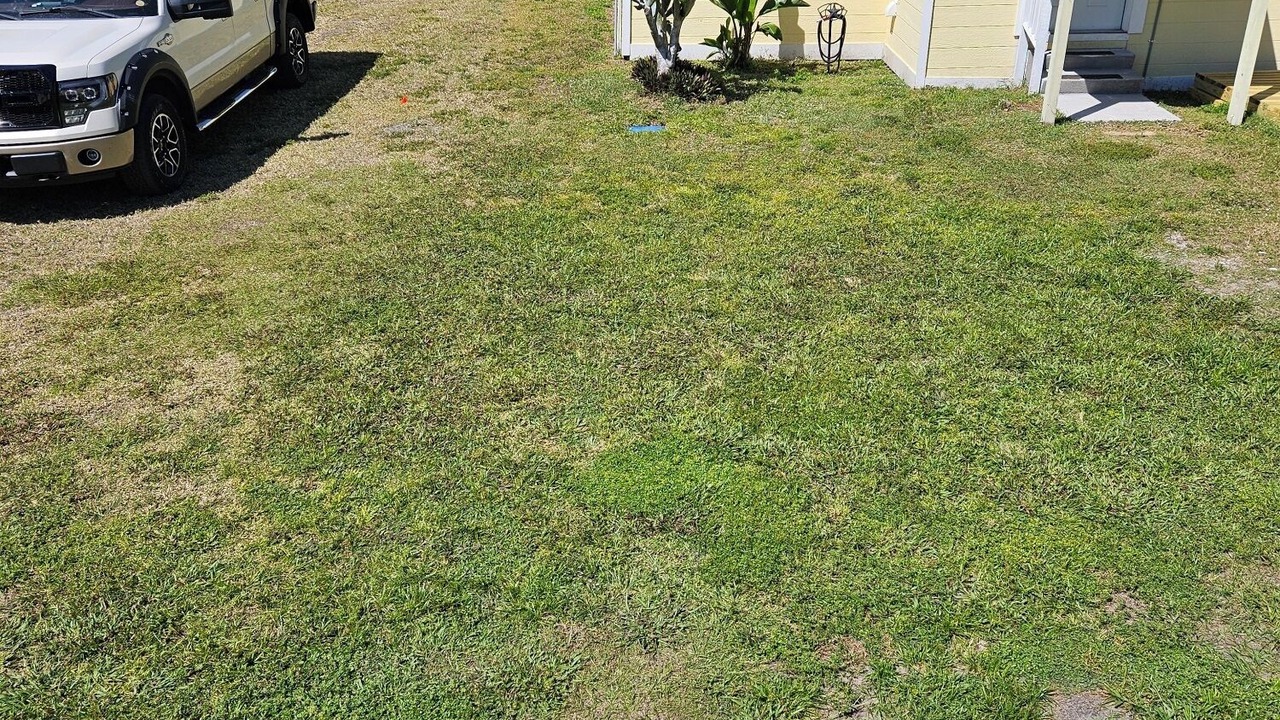 Photo of Outdoor in Moore Haven