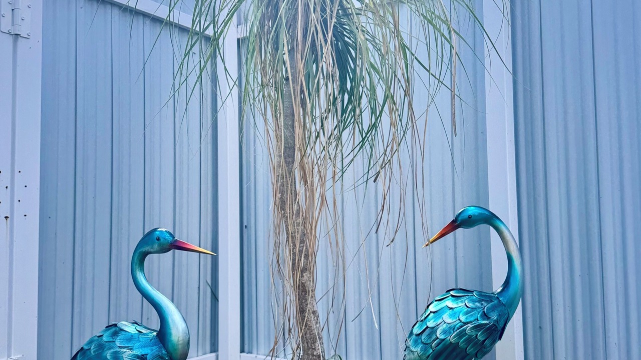 Photo of Outdoor in Palm Springs