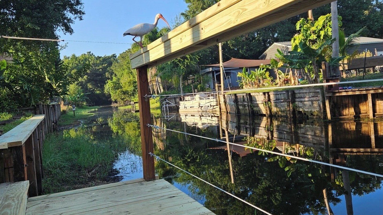 Photo of Others in Sylvan Shores