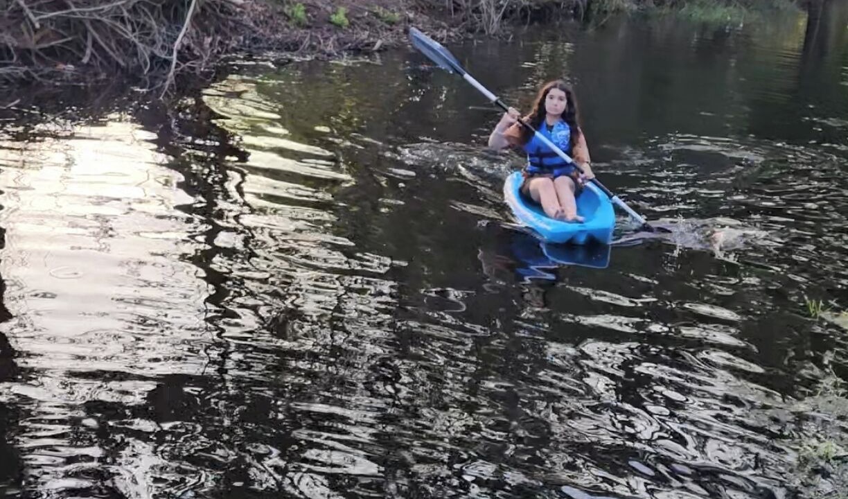 Photo of Others in Sylvan Shores
