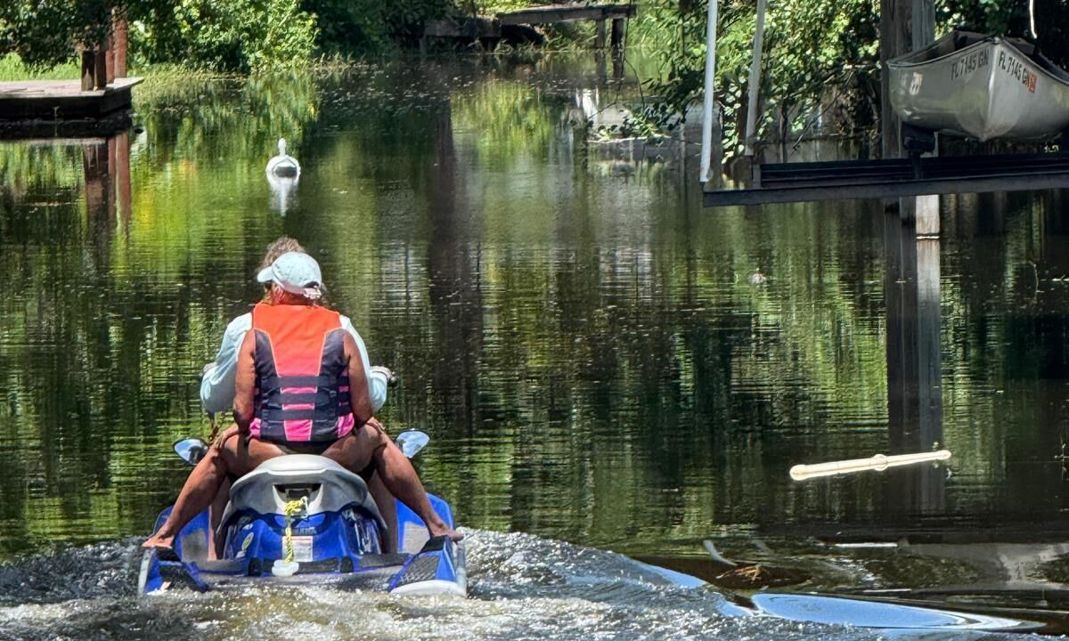 Photo of Others in Sylvan Shores