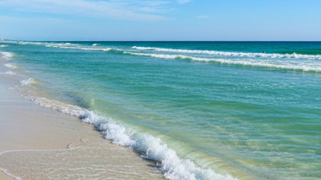 Photo of Others in Fort Myers Beach