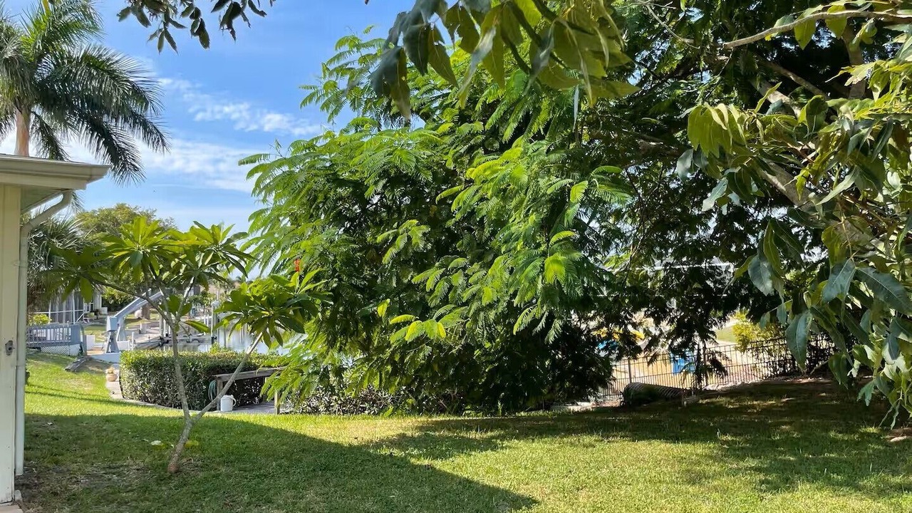 Photo of Outdoor in Englewood