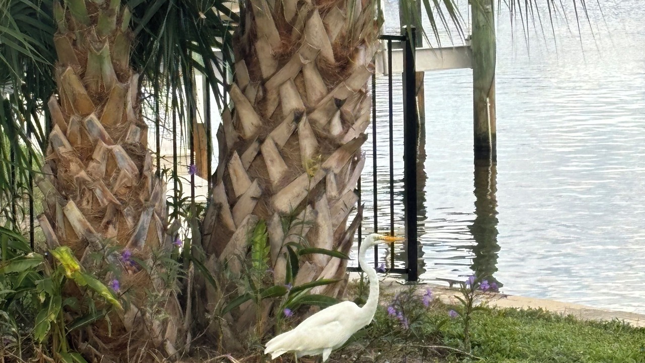 Photo of Others in Hobe Sound
