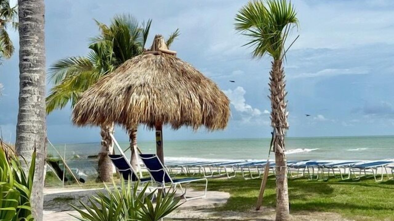 Photo of Others in Sanibel