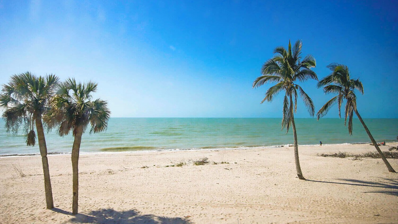 Photo of Others in Sanibel