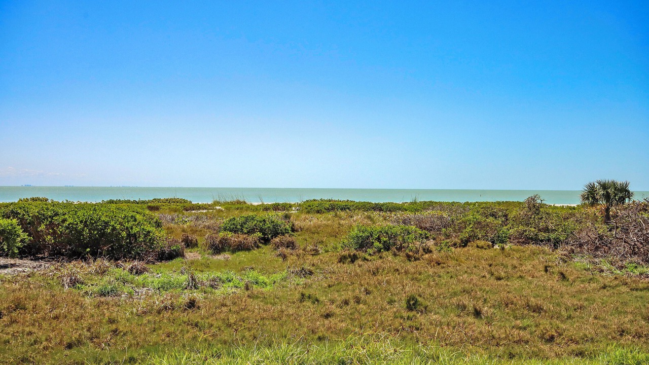 Photo of Others in Sanibel
