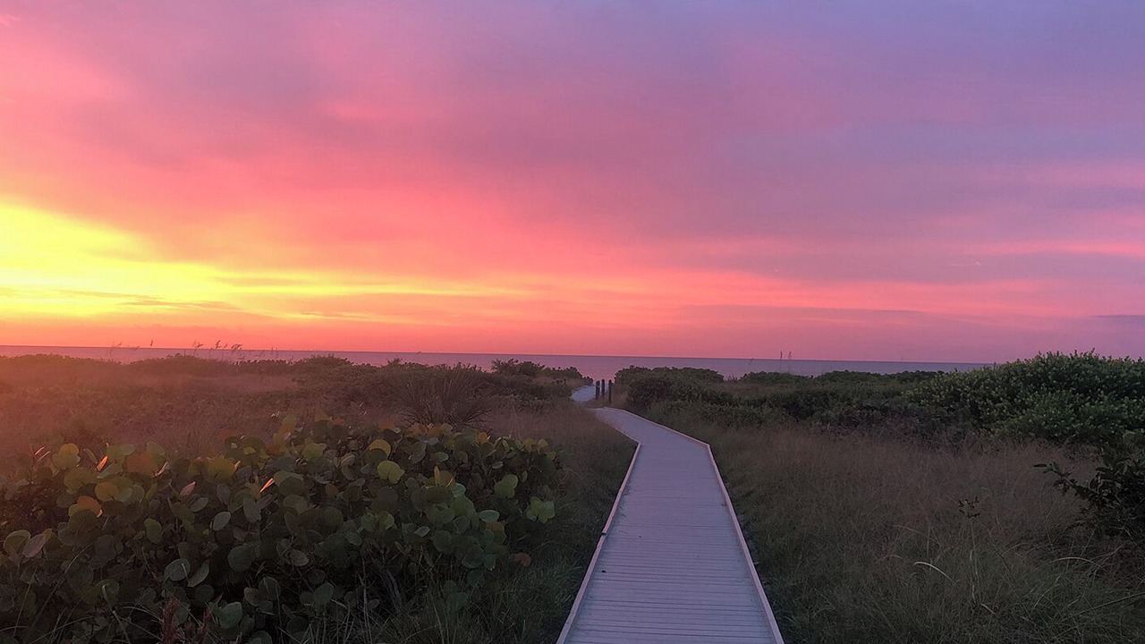 Photo of Others in Sanibel