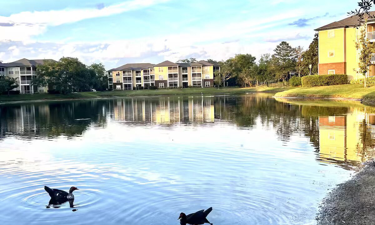 Photo of Outdoor in Carrollwood