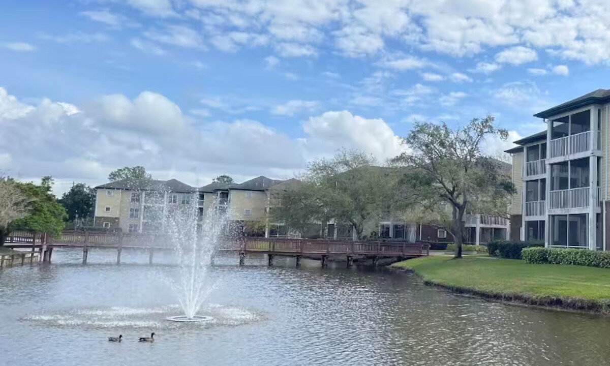 Photo of Outdoor in Carrollwood