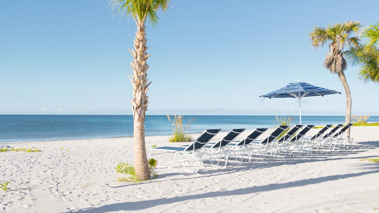 Photo of Others in Sanibel