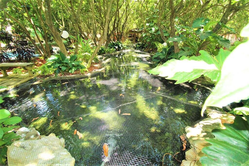 Photo of Outdoor in Homestead