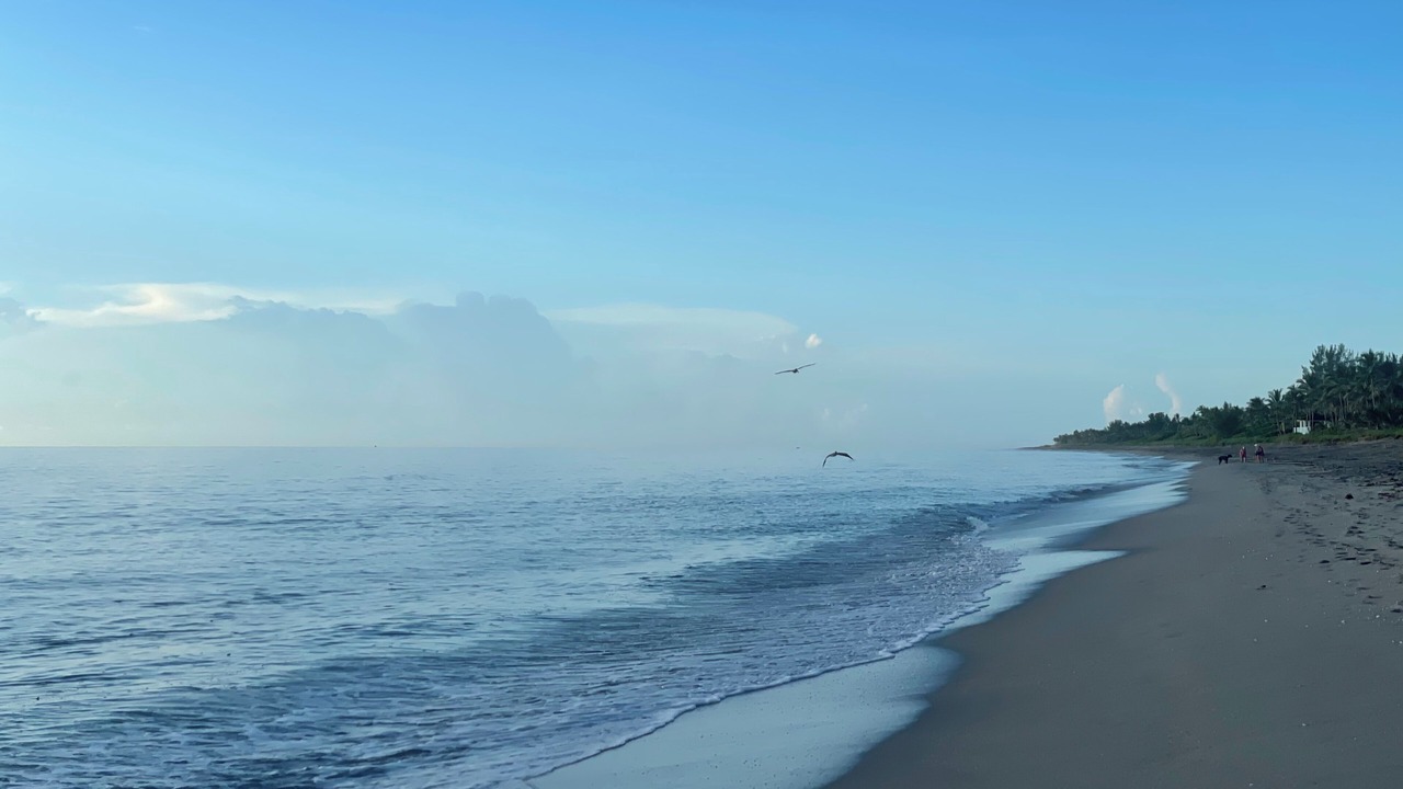 Photo of Others in Hobe Sound
