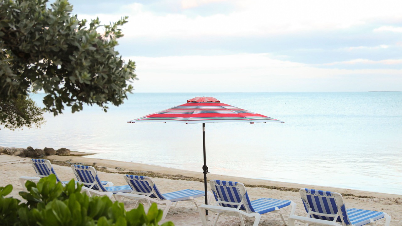 Photo of Others in Islamorada
