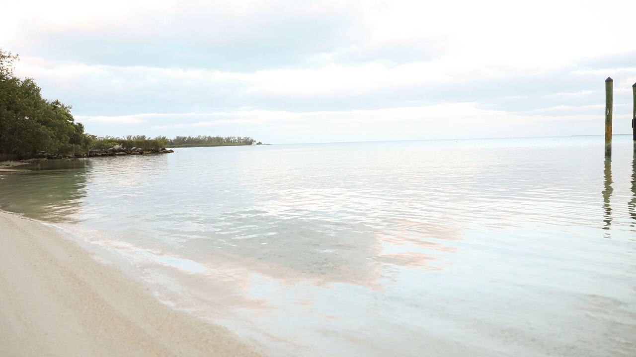 Photo of Others in Islamorada