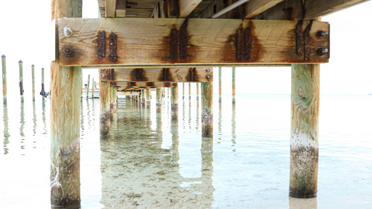 Photo of Others in Islamorada