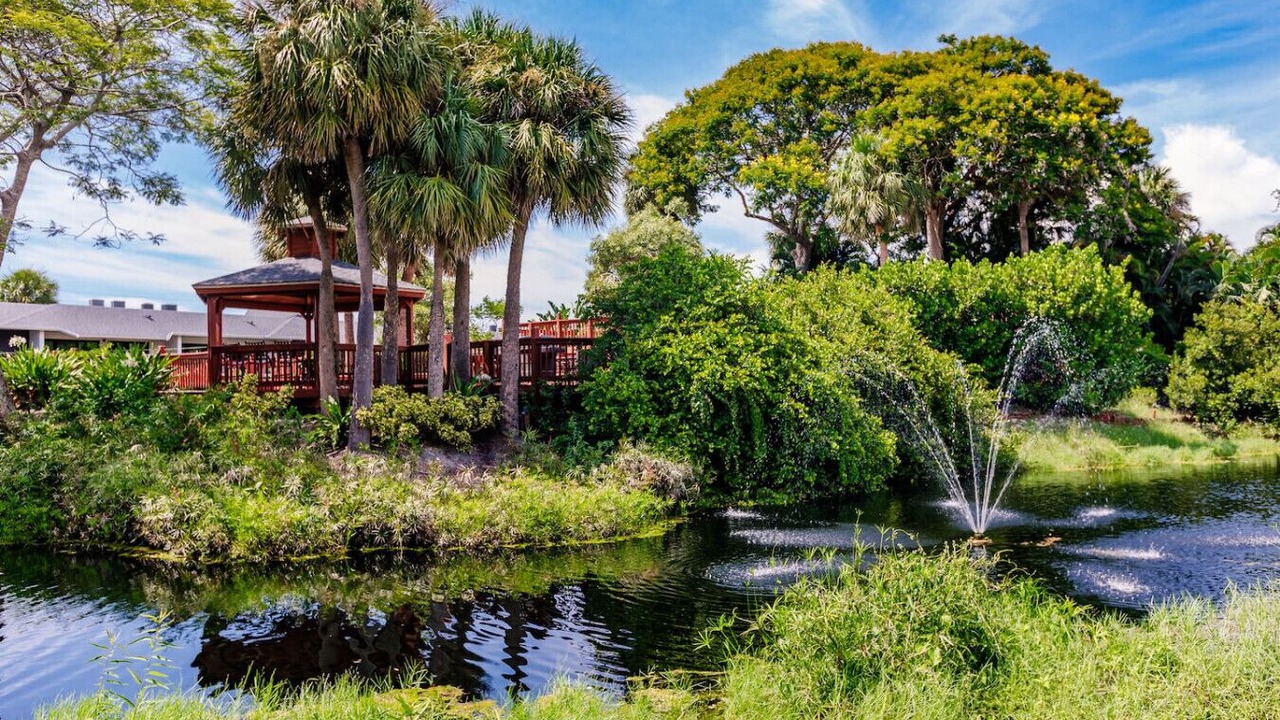Photo of Outdoor in Park Shore