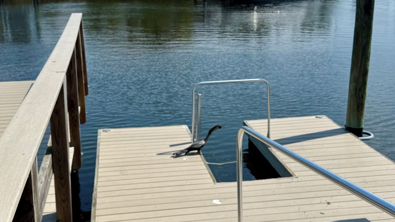 Photo of Outdoor in Ruskin