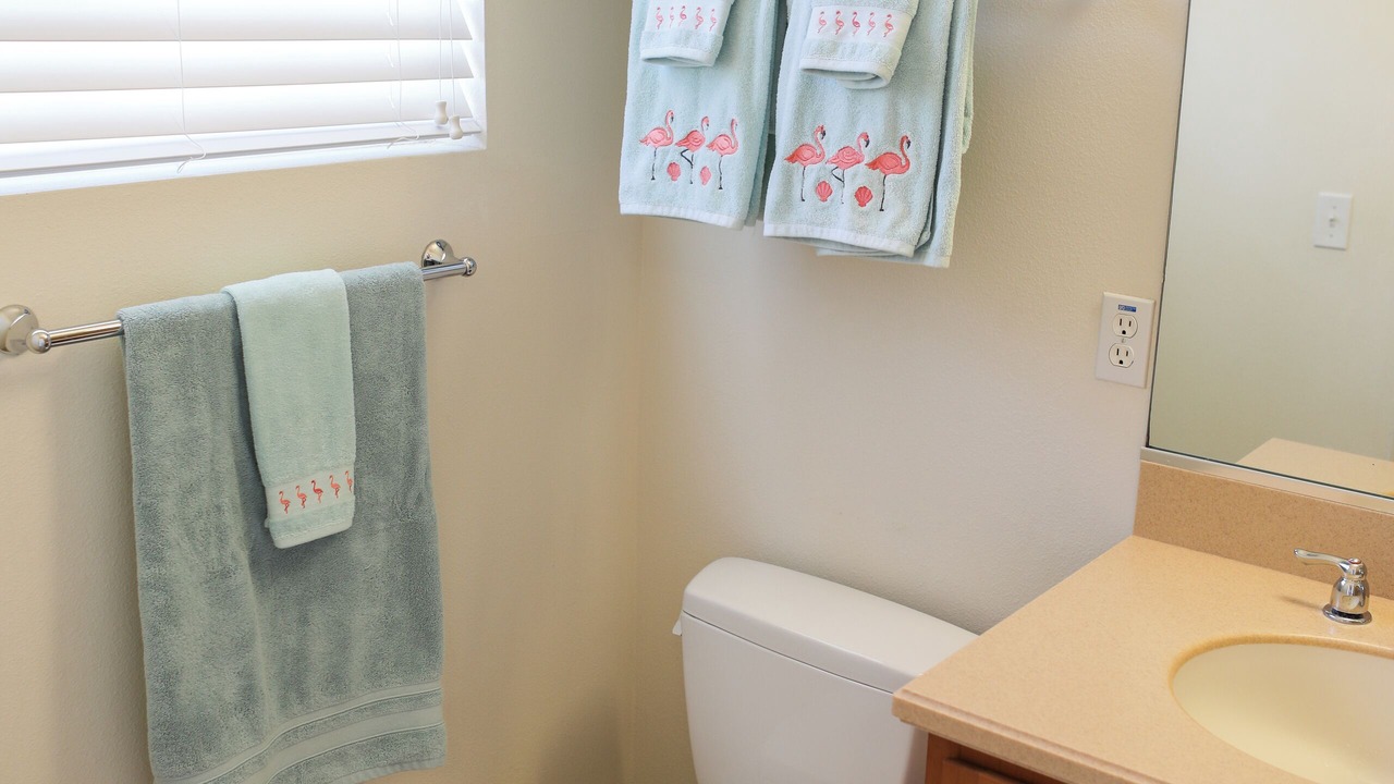 Photo of Bathroom in Ruskin