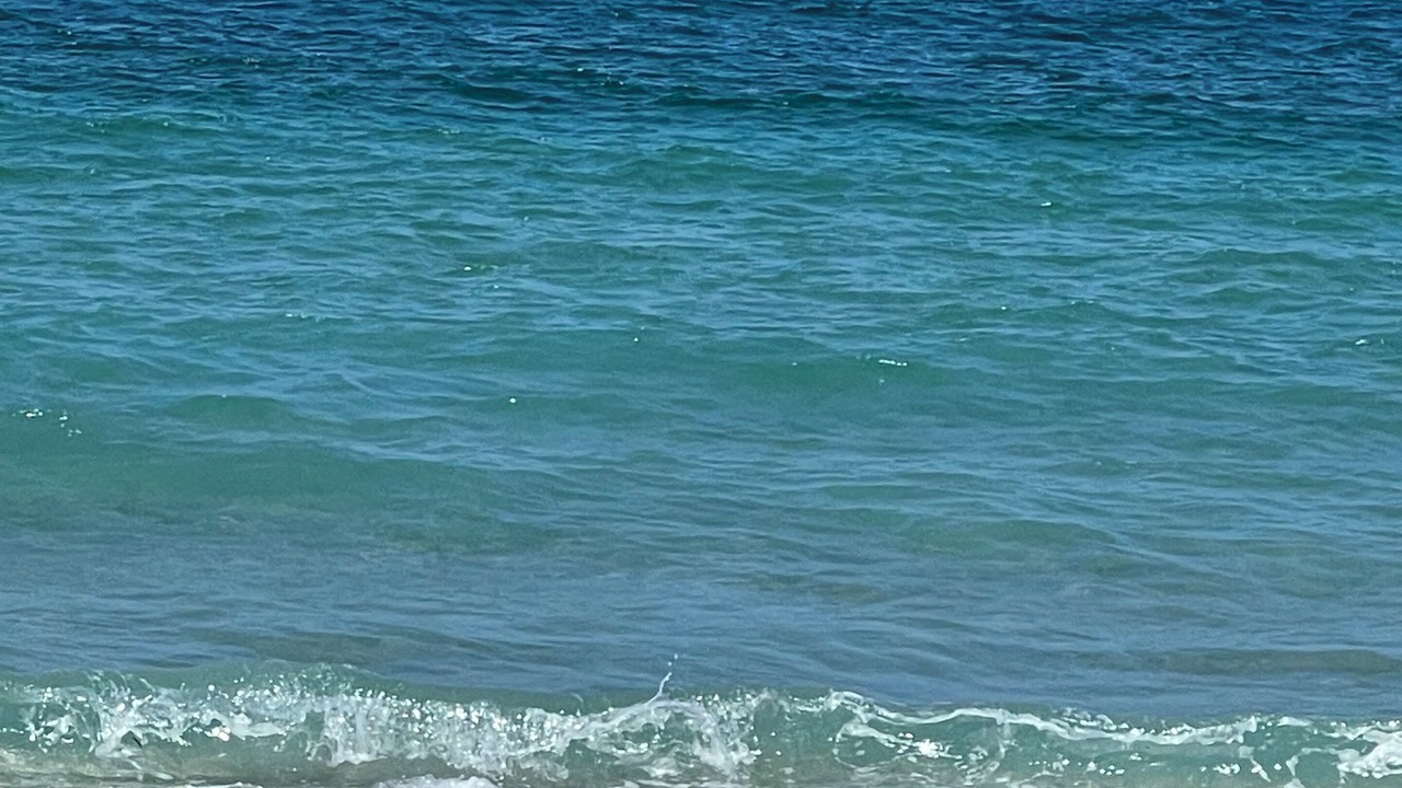 Photo of Others in Singer Island