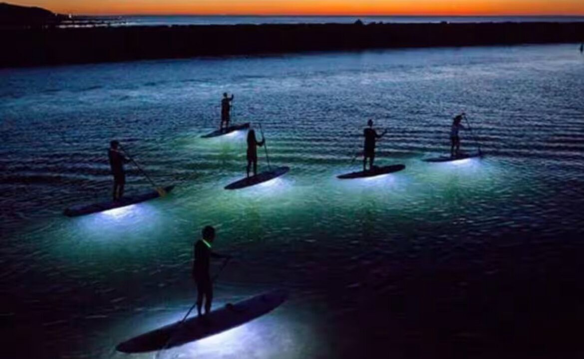 Photo of Others in Tropic