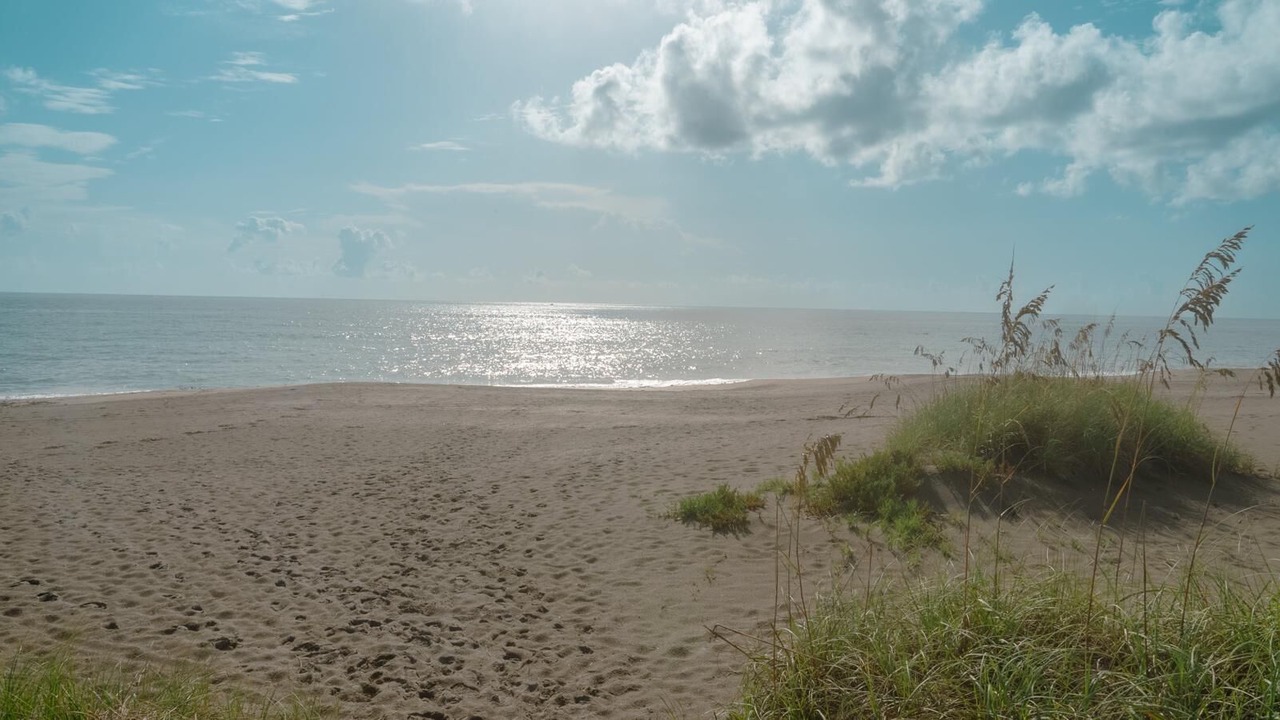Photo of Others in Fort Pierce
