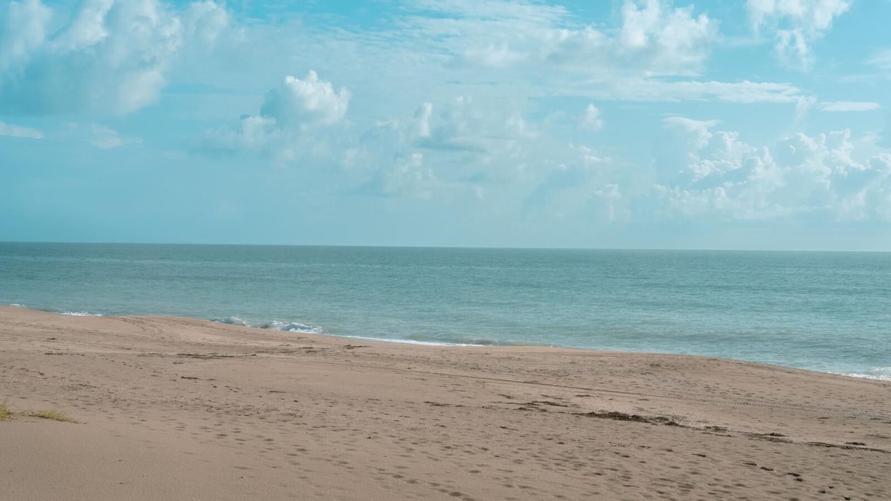 Photo of Others in Fort Pierce