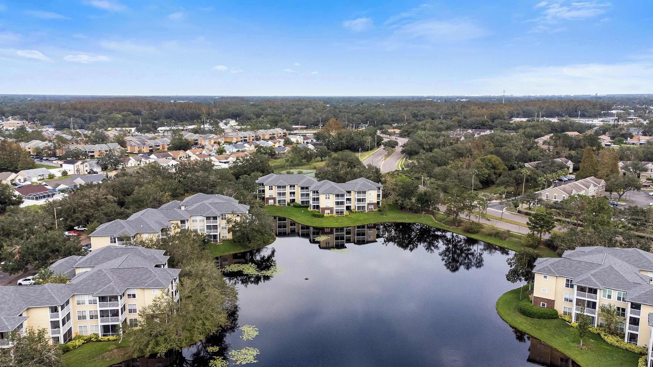 Photo of Others in Carrollwood