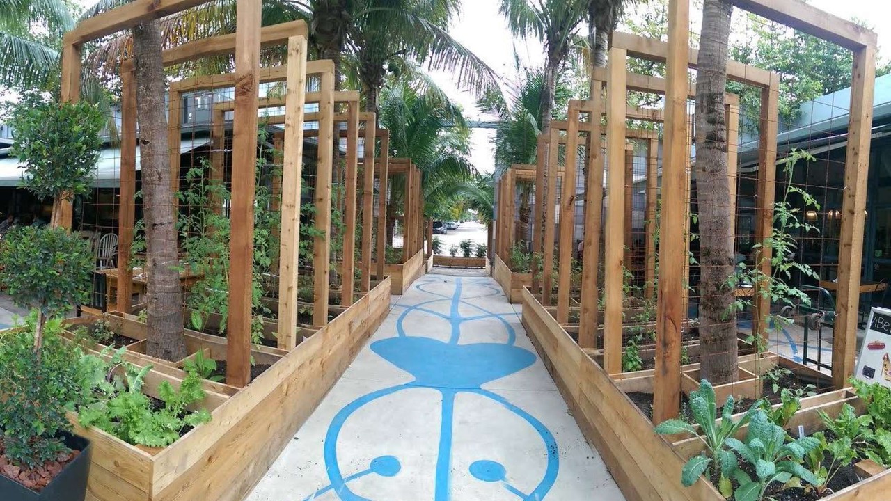 Photo of Outdoor in Northeast Miami