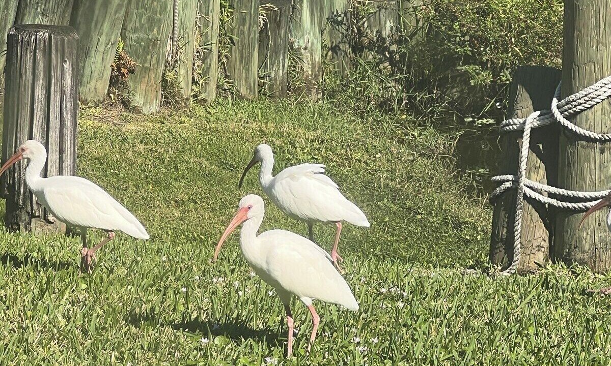 Photo of Others in West Palm Beach