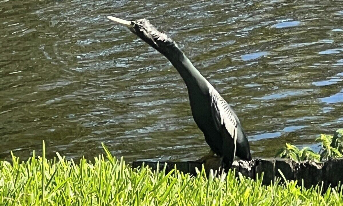 Photo of Others in West Palm Beach