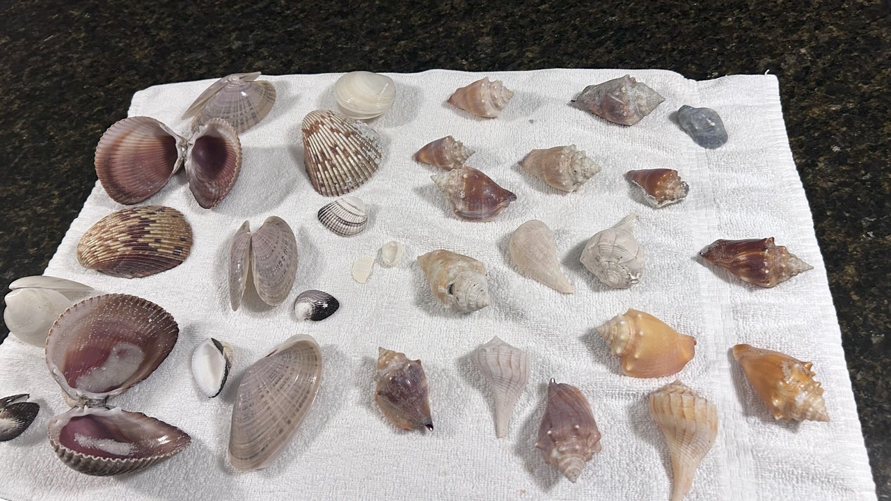 Photo of Others in Marco Island